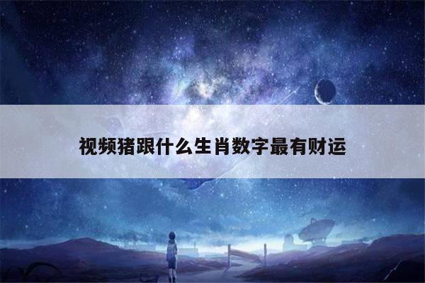 视频猪跟什么生肖数字最有财运