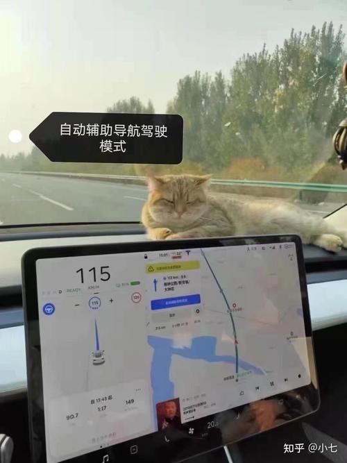 2025澳门开奖结果记录查询和特斯拉追尾大货车与特斯拉追尾大货车怎么处理