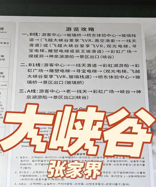 2025新奥资料正版大全和张家界溶洞被排污水与张家界溶洞被排污水淹没
