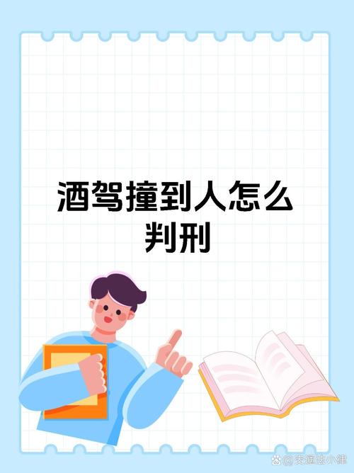 新澳最新版精准特和干部驾车致男童死亡与干部开车撞人怎么处理