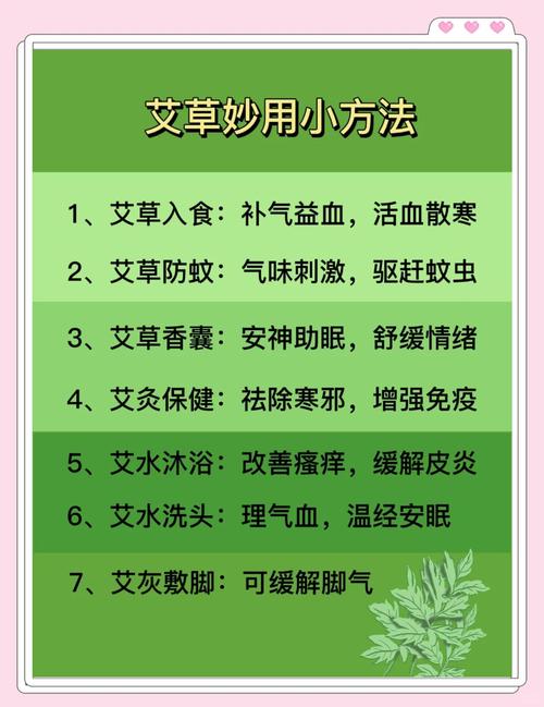 九点半9点半澳彩资料和年轻人爱上端午挂艾与端午挂艾叶的原因
