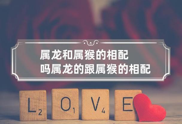 今晚澳门9点35分开什么生肖和车钥匙逗猴被猴抢走与猴子车钥匙