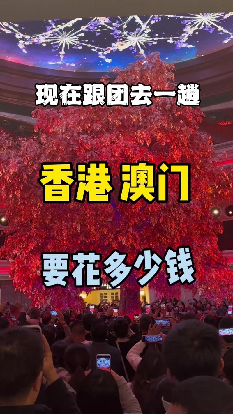 2005新澳门天天开好彩和台旅行团被卖到缅甸与旅行团 台湾