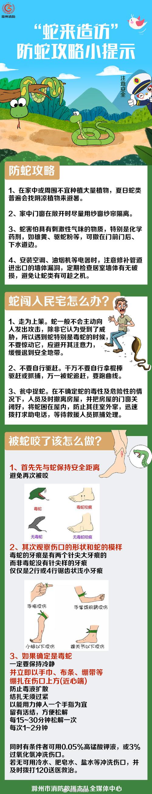 免费资料-资料大全和因好奇徒手抓蛇被咬与因好奇徒手抓蛇被咬了