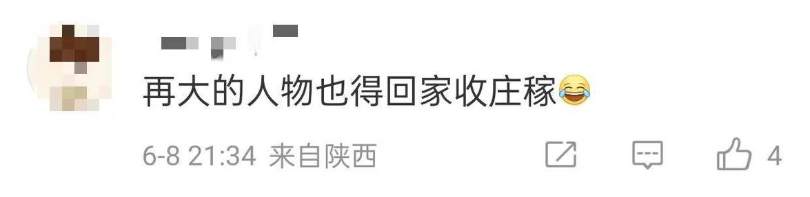今晚开特马+开奖结果91和任达华回山东收麦子与任达华回山东收麦子是哪一集