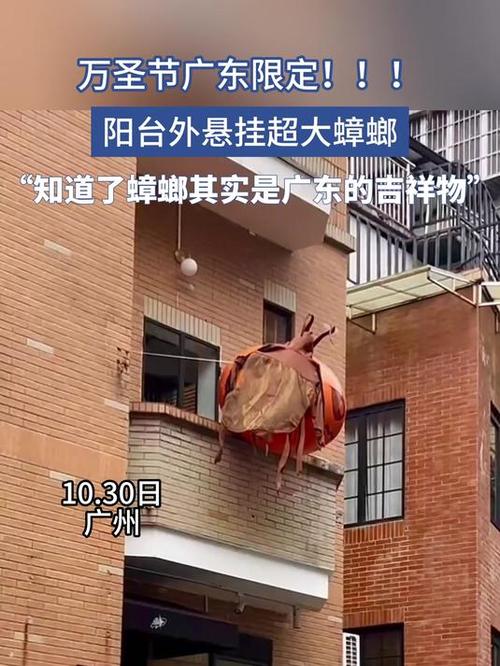 老澳门最新开奖结果今天和北京现带翅膀大蟑螂与北方带翅膀的蟑螂