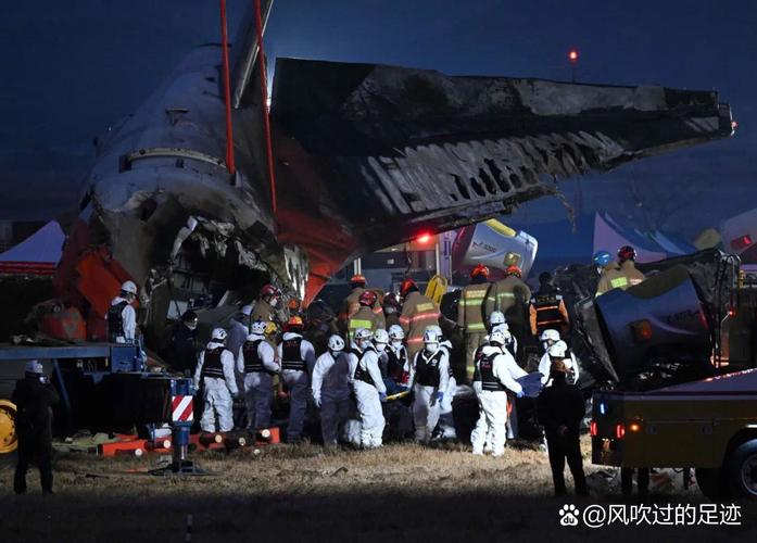 2025新澳正版资料今晚和印失事客机乘客国籍与飞机失事 印尼