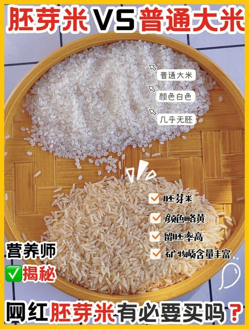 2025年新澳今晚资料大全和日投放12万吨过期米与过期大米回收多少钱一吨
